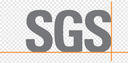 Business Transformation for SGS Mexico logo